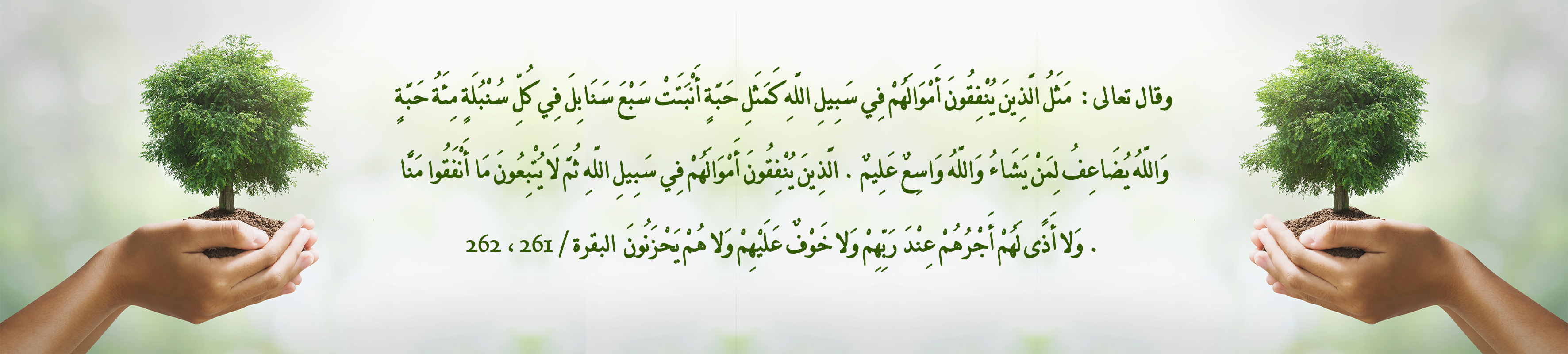جمعية سلال الغذائية